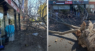 Uyarıları Dikkate Almayan Sapanca Belediyesi Yetkilileri Bile Bu Duruma Şaşırdı!