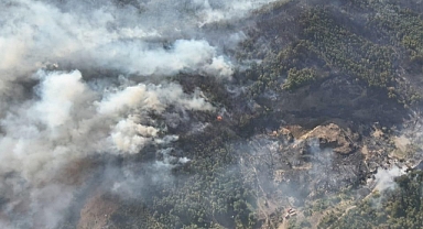 Yeşil Sakarya Yanıyor: 12 Büyük Yangın, 200’den Fazla İhbar!