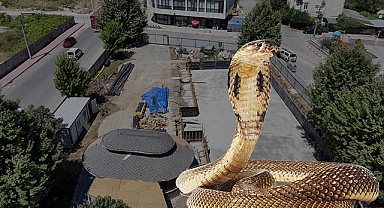 Arifiye’de Gençlik Merkezi ve Yüzme Havuzu Yakınlarında Dev Yılan Alarmı