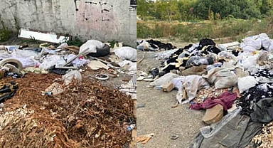 Arifiye’de Utandıran Görüntü: Köprü Altı Çöplüğe Döndü