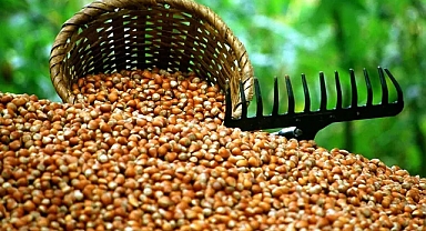 İçi Boş Fındık, Cebi de Boşalttı!