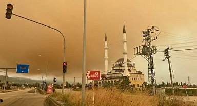 Kocaeli’deki Orman Yangını Bursa’yı Dumanla Kapladı: Sakarya İtfaiyesi Görev Başında!