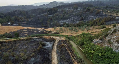 Sakarya Geyve’de Yanan Ormanlar İçin Yeniden Canlandırma Çalışmaları Başladı