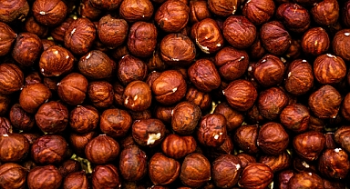 Serbest Piyasa Fındıkta Zirveye Koşuyor: 400 TL’ye Ulaşması Bekleniyor!