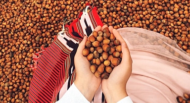 Toprak Mahsulleri Ofisi 2025 Fındık Alım Fiyatlarını Açıkladı!