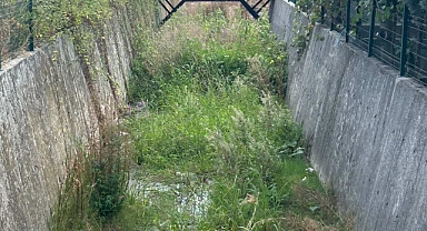 Arifiyemizin Neviye Mahallesi'ndeki Dere Tehlike Saçıyor!