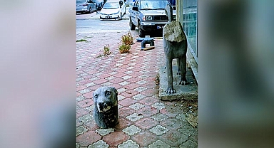 Arifiye’de Kafası Kopuk Köpek Heykeli Dikkat Çekiyor