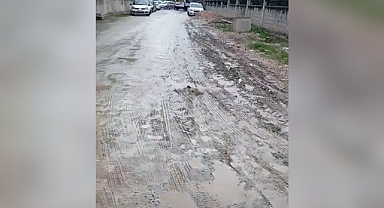 Arifiye Kudüs Caddesi’ndeki Çamur Sorunu Tekrar Gündemde!