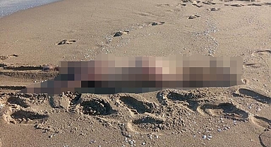 Karasu’da Esrarengiz Ölüm: 27 Yaşındaki Genç Sahilde Ölü Bulundu