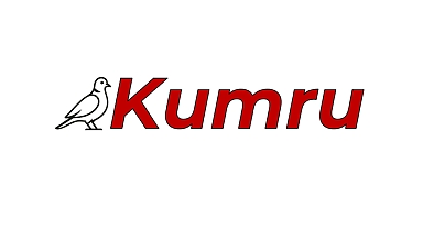 Türk Mühendislerden Yerli Yapay Zeka Atağı: Kumru Sahnede!