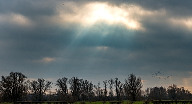 Arifiye’de Haftaya Güneşle Başlayıp Yağmurla Devam!