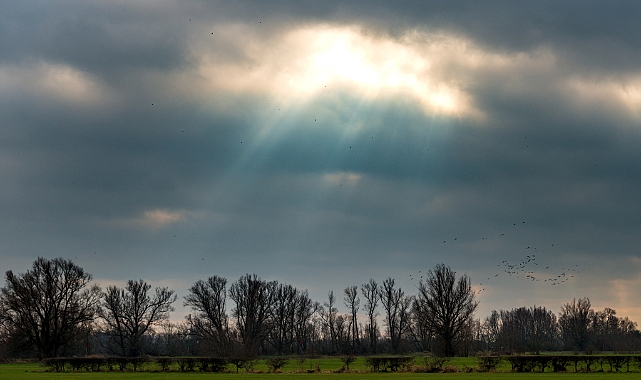 Arifiye’de Haftaya Güneşle Başlayıp Yağmurla Devam!