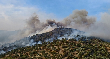 Aydın’da Orman Yangını: Alevler Rüzgarla Büyüdü, Müdahale Sürüyor!