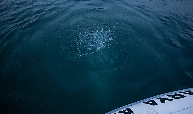 Sapanca Gölü Hakkında Deprem İddialarına Net Yanıt