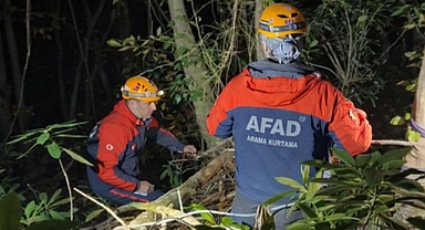 Arifiye’de Ormanlık Alanda Kaza: İşçi Yaralandı