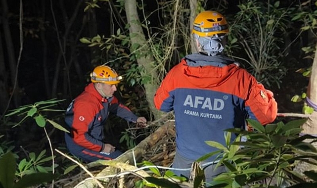 Arifiye’de Ormanlık Alanda Kaza: İşçi Yaralandı