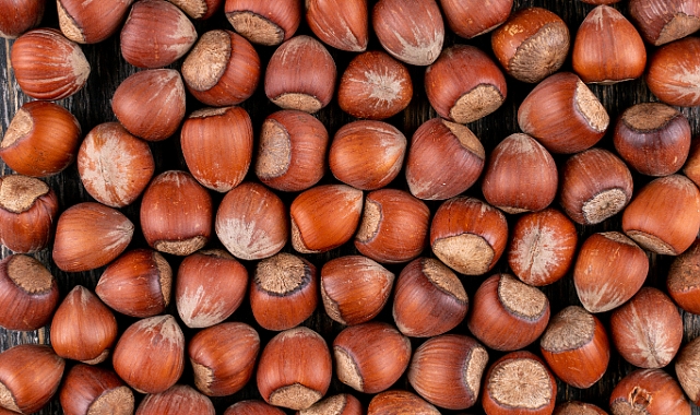 Fındık Piyasasında Hafta Sonu Tablosu: Sakarya’da Son Durum