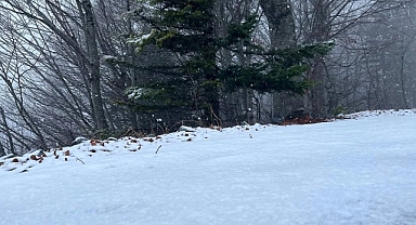 Yaylalar Beyaza Büründü: Sakarya ve Kocaeli’de Kar Yağışı
