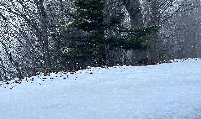 Yaylalar Beyaza Büründü: Sakarya ve Kocaeli’de Kar Yağışı