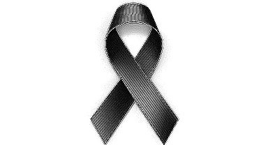  Arifiye’de Bir Çınar Daha Hayatını Kaybetti