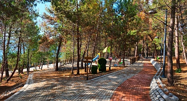 Sapanca Gölü’nde Yeni Nefes Alanı: Huzur Koridoru Açıldı