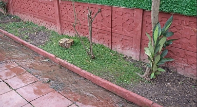 Şehit Mutlu Saydam Caddesi’nden Taşan Lağım Suları Evlere Giriyor