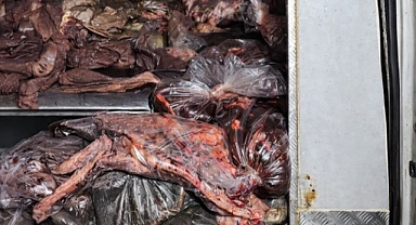 Arifiye’de 3 Ton Kaçak Et Yakalandı! Sofraya Gitmeden İmha Edildi