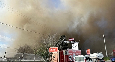 Arifiye E5 Üzerindeki Bisküvi Fabrikasında Yangın!