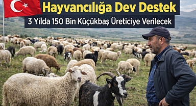 Hayvancılığa Dev Destek: 3 Yılda 150 Bin Küçükbaş Üreticiye Verilecek