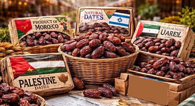 Hurma Ticaretinde Şeffaflık Krizi: Avrupa Pazarında Etiket Soru İşaretleri