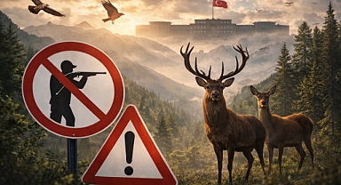 Doğayı Tahrip Edene Hapis: Yeni Yasa Meclis’ten Geçti