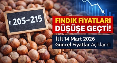 Karadeniz’de Fındık Fiyatları Güncellendi: Sakarya’da Son Durum