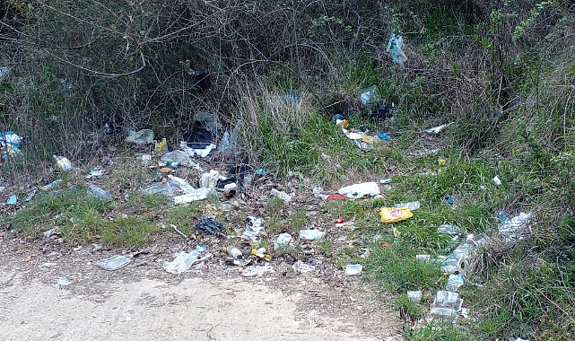 Arifiye'de Kalaycı Spor Tesisleri Yakınlarında Tepki Çeken Görüntüler!