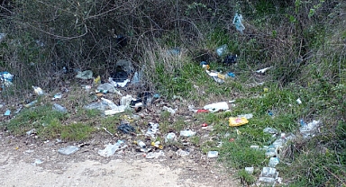 Arifiye'de Mezarlık Çevresinde Tepki Çeken Görüntüler!