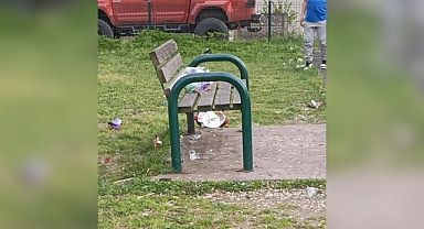 Arifiye'de Parklarda Duyarsızlık Tepki Topladı: Temizlik Talebi