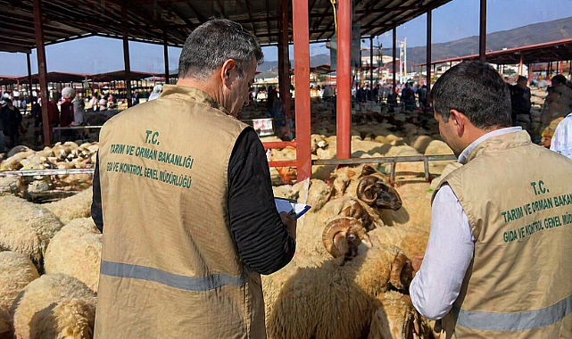 Bakanlıktan Kurbanlık Uyarısı: Kurallara Uymayana Ceza!