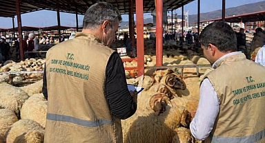 Bakanlıktan Kurbanlık Uyarısı: Kurallara Uymayana Ceza!