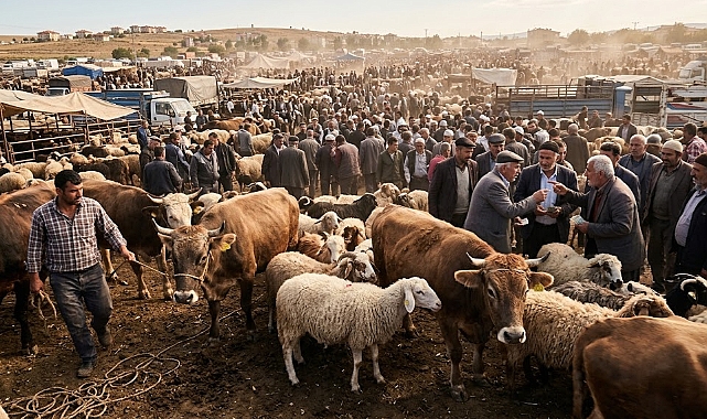 Hayvan Pazarlarında Rekor Beklenti: Milyarlarca Liralık Kurbanlık Satışı!