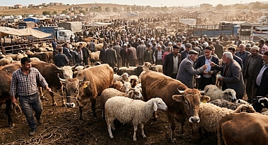 Hayvan Pazarlarında Rekor Beklenti: Milyarlarca Liralık Kurbanlık Satışı!