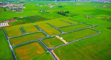 Milyonluk Arsa Satışta! Arifiye’de Dikkat Çeken İlan!