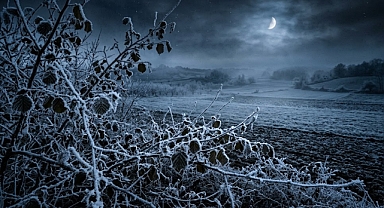 Nisan Soğuğu Vuracak: Sakarya’da Don Tehlikesi Kapıda!