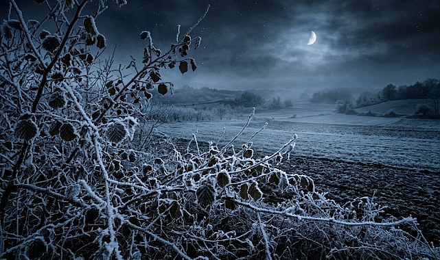 Nisan Soğuğu Vuracak: Sakarya’da Don Tehlikesi Kapıda!