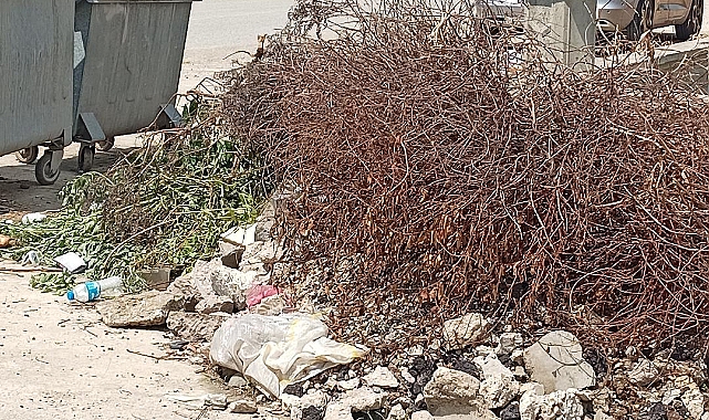 Neviye Mahallesi'nde Çevre Kirliliği: Gelişigüzel Bırakılan Atıklar Tepki Çekiyor