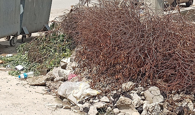Neviye Mahallesi'nde Çevre Kirliliği: Gelişigüzel Bırakılan Atıklar Tepki Çekiyor