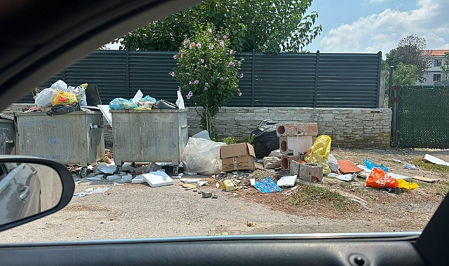 Arifiye'de Çöp Konteynerleri Doldu Taştı: Sıcak Havalarda Koku ve Haşere Alarmı!