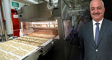 Arifiye'deki Dev Fabrikaya Soruşturma Operasyonu: Üst Düzey Yöneticiler Gözaltına Alındı