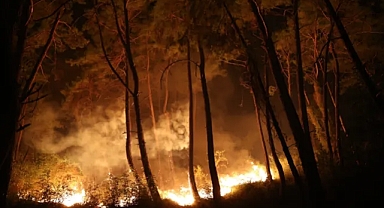 Antalya'da Alevlerle Topyekün Mücadele: Henüz Plakası Çıkmamış Araçlar Bile Sahaya Sürüldü