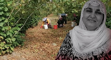 Sakarya'ya Fındık Hasadı İçin Gelmişti: 6 Çocuk Annesi Kadın Yaşamını Yitirdi