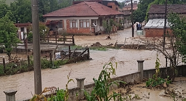 Kocaeli’de Şiddetli Yağış Tavuk Çiftliklerini Vurdu: Kocaali Demiraçma’da 60 Bin Kanatlı Hayvan Telef Oldu