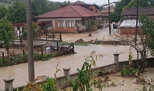 Kocaeli’de Şiddetli Yağış Tavuk Çiftliklerini Vurdu: Kocaali Demiraçma’da 60 Bin Kanatlı Hayvan Telef Oldu
